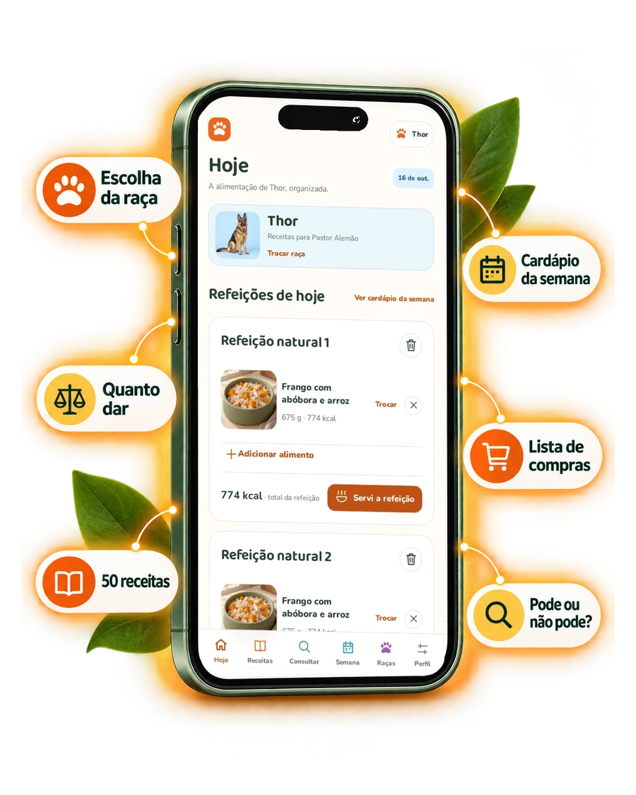 Aplicativo Dog Chef Studio no celular com escolha da raça, quanto dar, 50 receitas, cardápio da semana, lista de compras e Pode ou não pode?