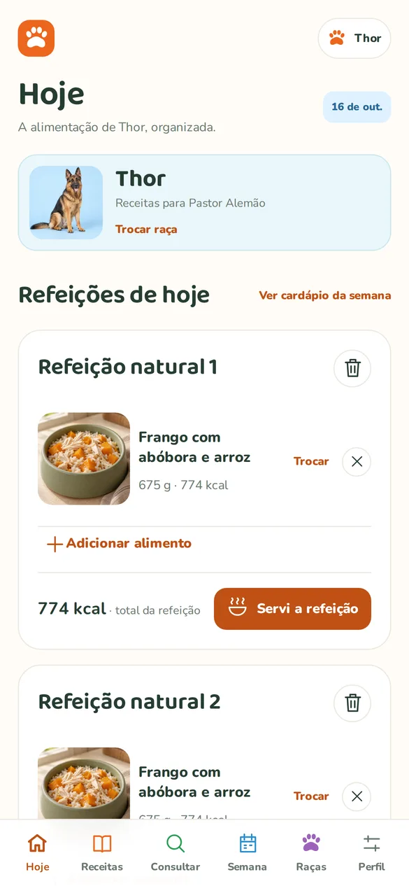 Tela do aplicativo: Refeições de hoje